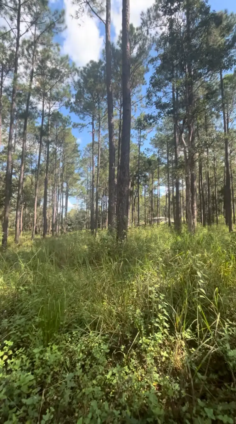 Third view of Homely land listing, Lot 86 Arborfour Road, Glenwood QLD 4570
