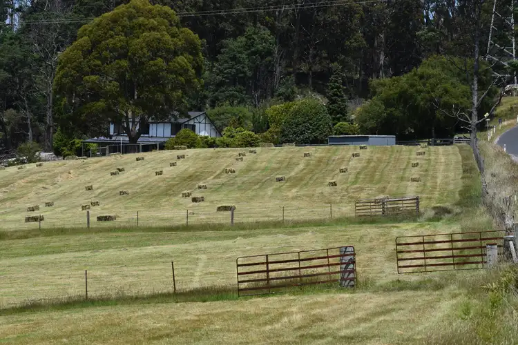 Third view of Homely rural property listing, 1001 Holwell Road, Holwell TAS 7275