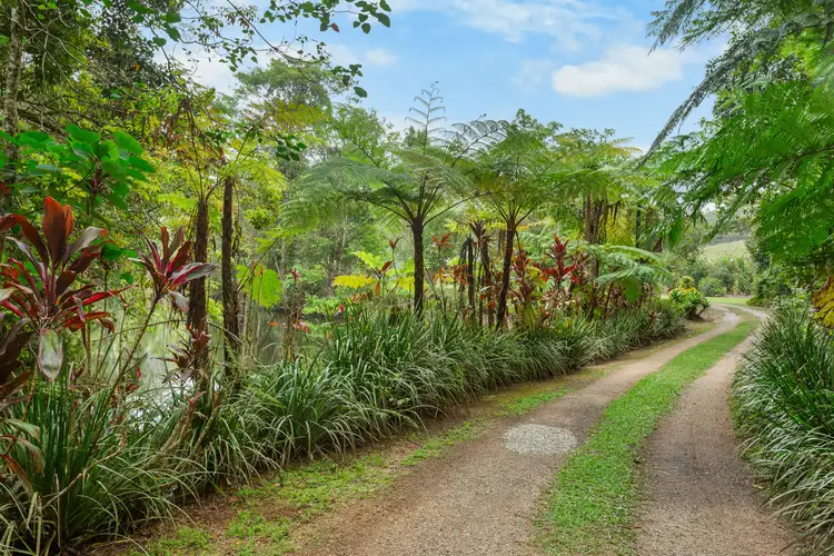 Second view of Homely rural property listing, 10524 Kennedy Highway, Upper Barron QLD 4883