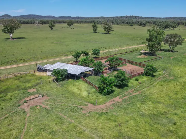 Sixth view of Homely rural property listing, 2824 Neilrex Road, Neilrex NSW 2831