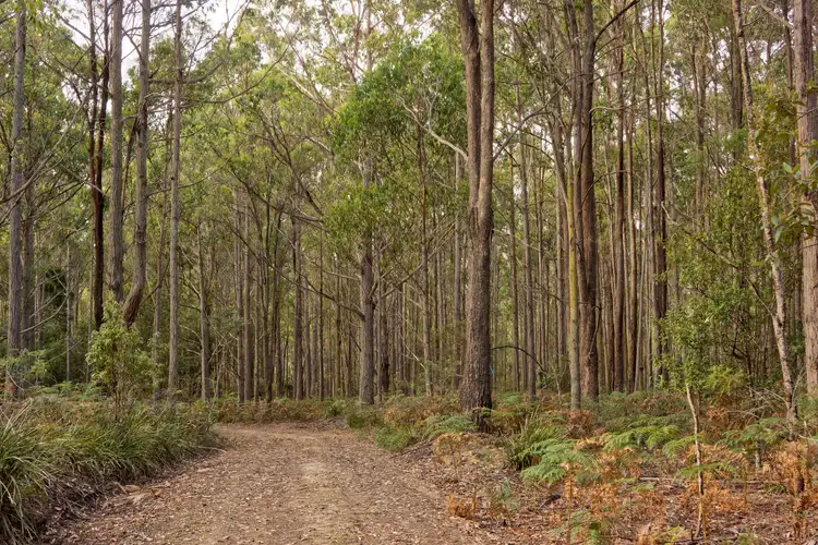 Second view of Homely land listing, Lot 1, 660 Larcombes Road, Reedy Marsh TAS 7304