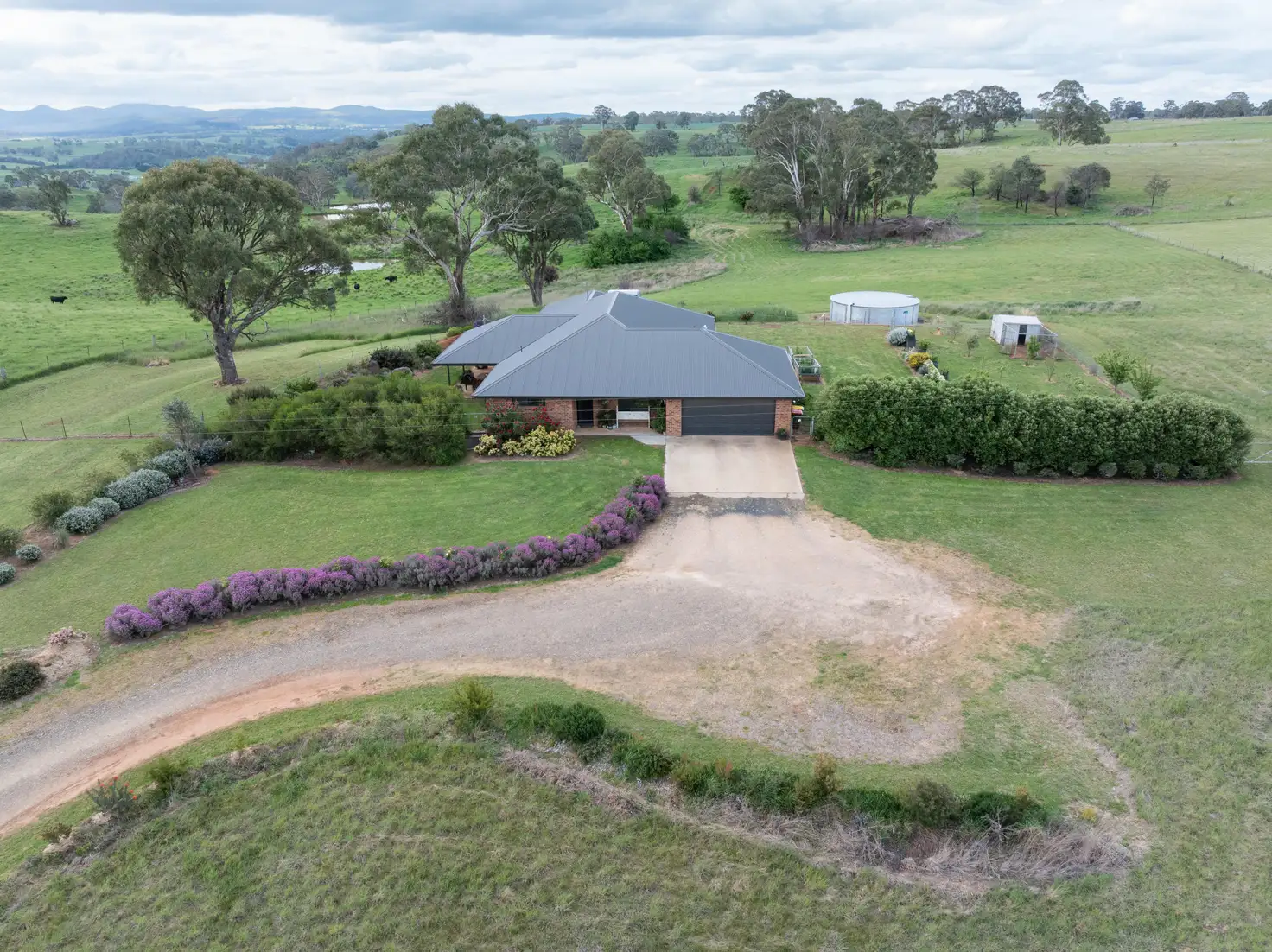 Main view of Homely rural property listing, 136 Long Swamp Road, Forest Reefs NSW 2798
