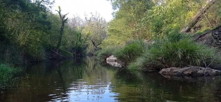 Lot 11 Ewingar Road, Bulldog NSW 2469