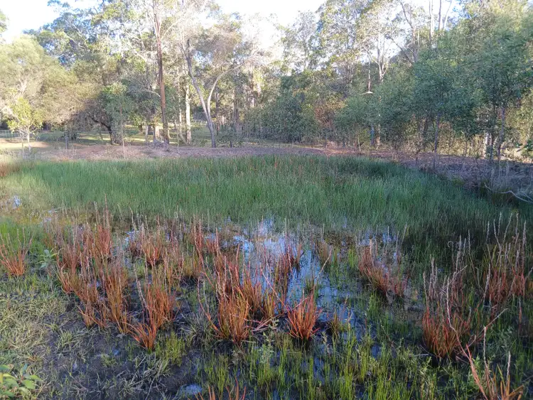 Third view of Homely land listing, 141 (Lot 2) Moorabinda Drive, Sunshine Acres QLD 4655