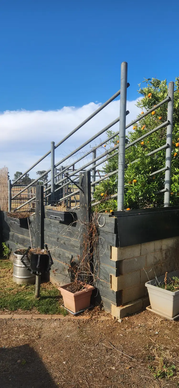 Second view of Homely rural property listing, 1810 Pogue Road, Tatura VIC 3616