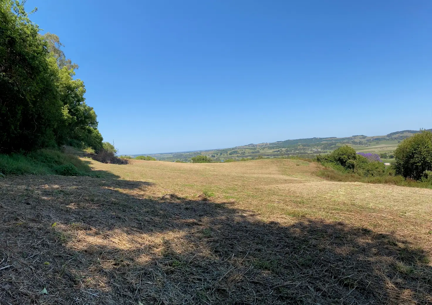 Main view of Homely land listing, 80 Trevan Road, East Lismore NSW 2480