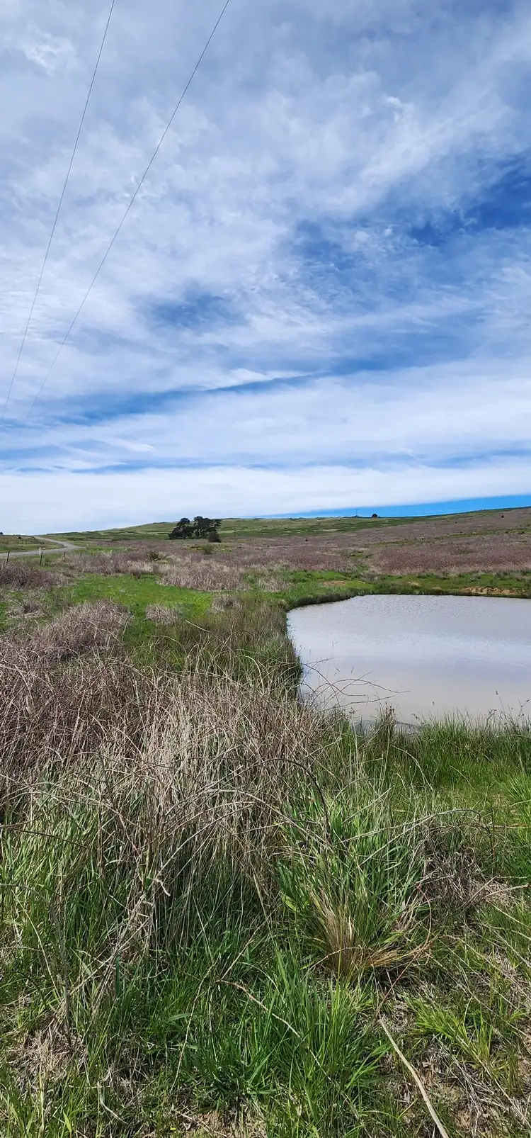 Fifth view of Homely land listing, Lot 2, 175 Pomeroy Mill Ford Rd, Mummel NSW 2580