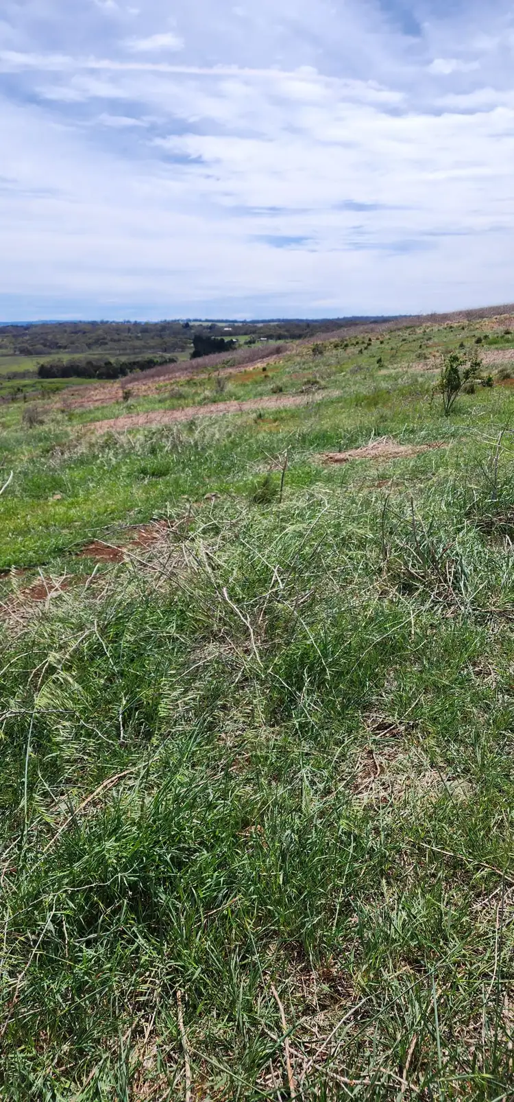 Seventh view of Homely land listing, Lot 2, 175 Pomeroy Mill Ford Rd, Mummel NSW 2580