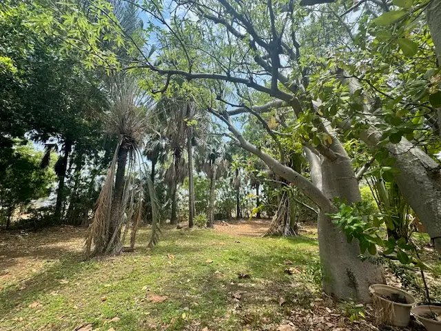 Seventh view of Homely rural property listing, 101 Mills Road, Kununurra WA 6743