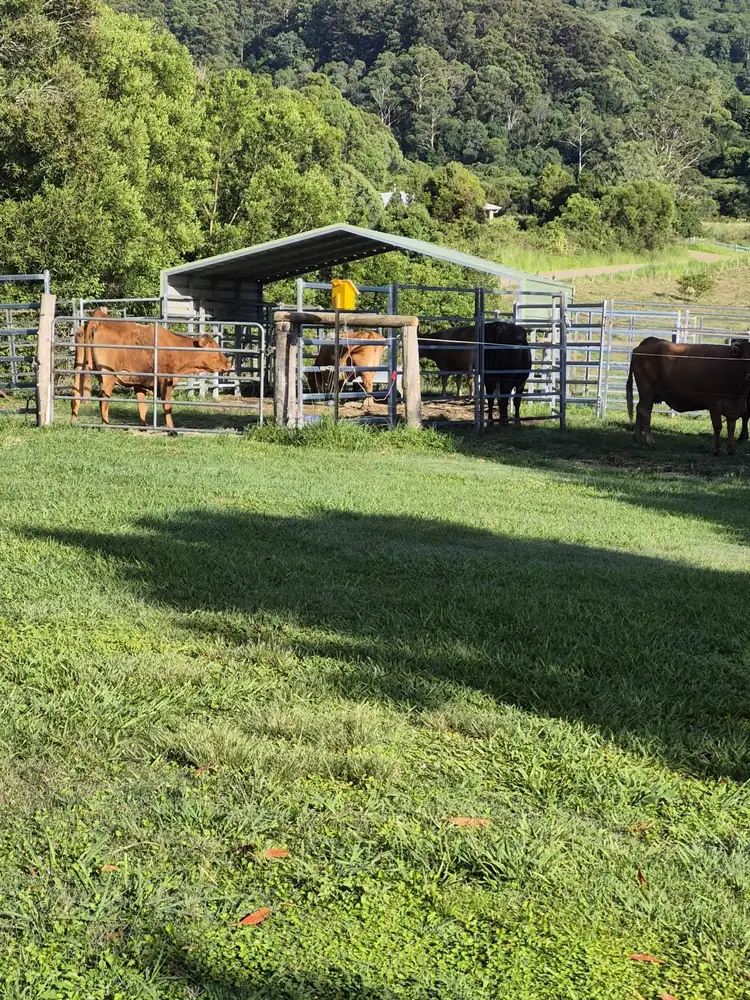 Fourth view of Homely rural property listing, Address available on request