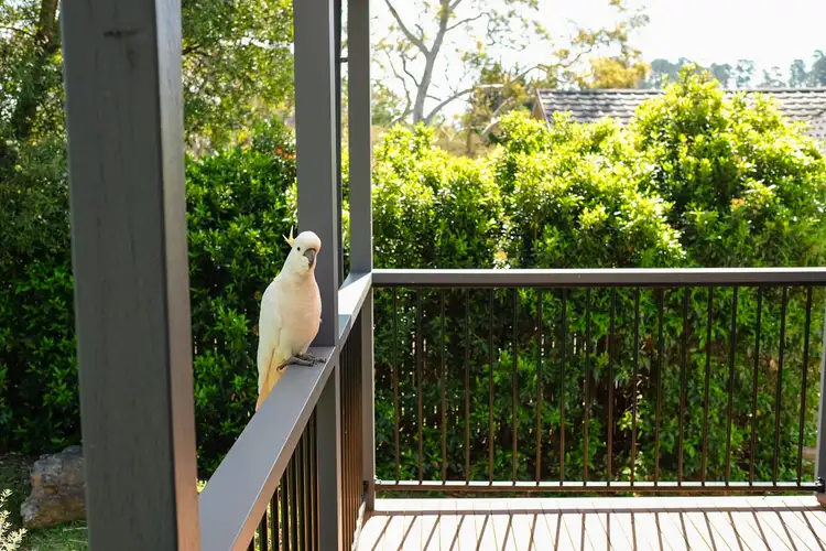 Third view of Homely house listing, 24 Murri St, Blackheath NSW 2785