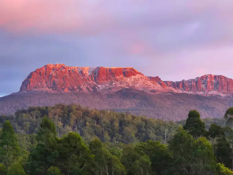 8 Walter Street, Rossarden TAS 7213