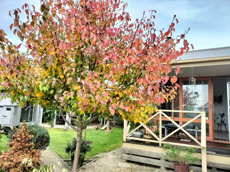 Second view of Homely house listing, 4220 Bass Highway, Dalyston VIC 3992