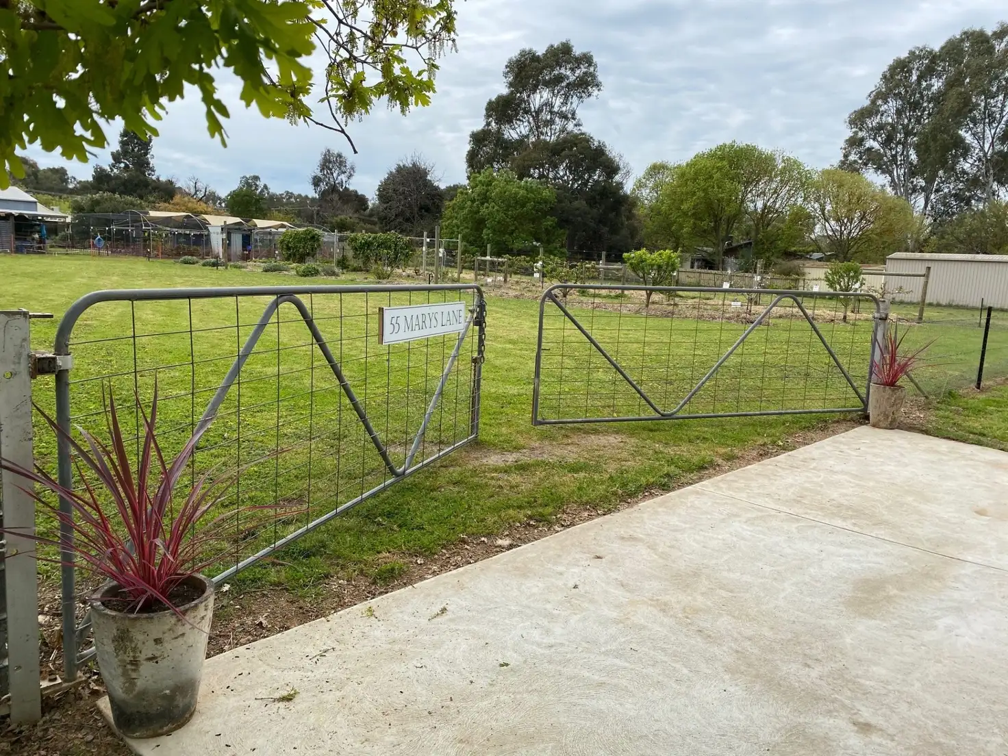 Main view of Homely land listing, 55 Marys Lane, Violet Town VIC 3669