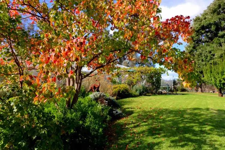 Second view of Homely rural property listing, 5148 Henry Parkes Way, Manildra NSW 2865