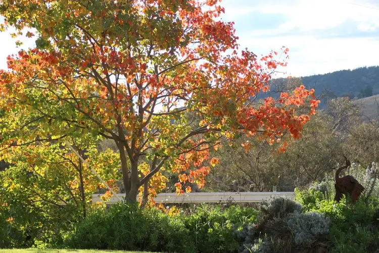 Sixth view of Homely rural property listing, 5148 Henry Parkes Way, Manildra NSW 2865