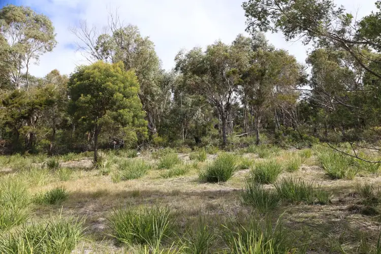 Third view of Homely land listing, 9 Harvey Avenue, Bicheno TAS 7215