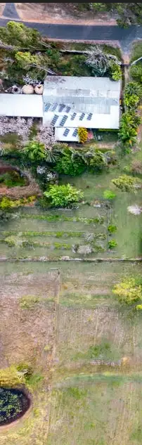 Second view of Homely rural property listing, 395 Plains Station Road, Tabulam NSW 2469