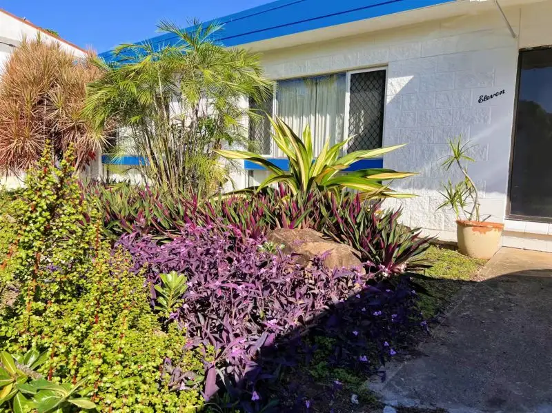 Main view of Homely house listing, 11 Jenkins Street, Kirwan QLD 4817