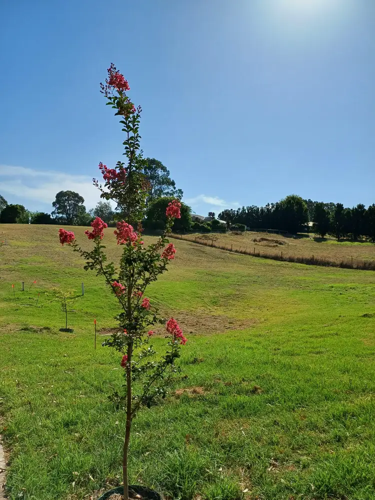 Lot 5 Henderlyn Retreat, Warragul VIC 3820