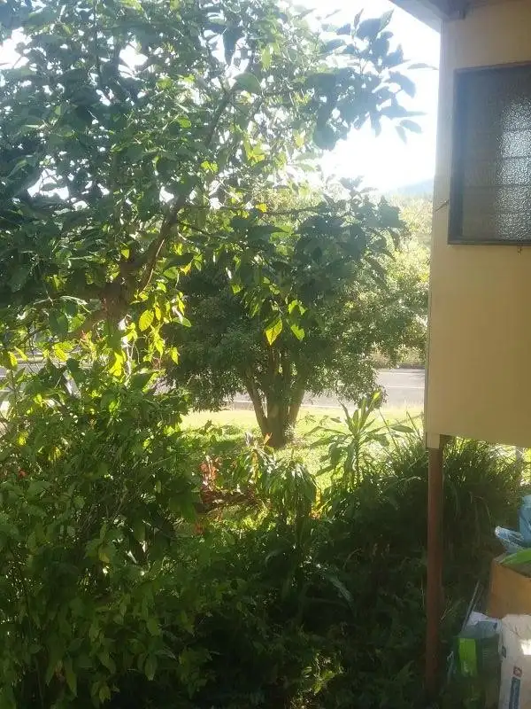 Fifth view of Homely house listing, 2 Denbigh Road, Herberton QLD 4887