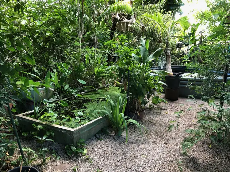 Fifth view of Homely house listing, 19-21 Jose Street, Borroloola NT 854