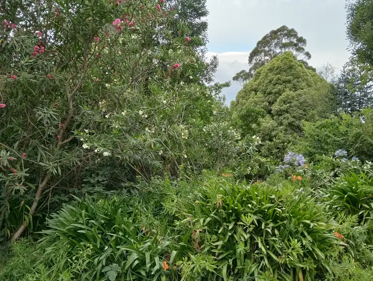 Main view of Homely land listing, 3 Halcyon Ave, The Patch VIC 3792