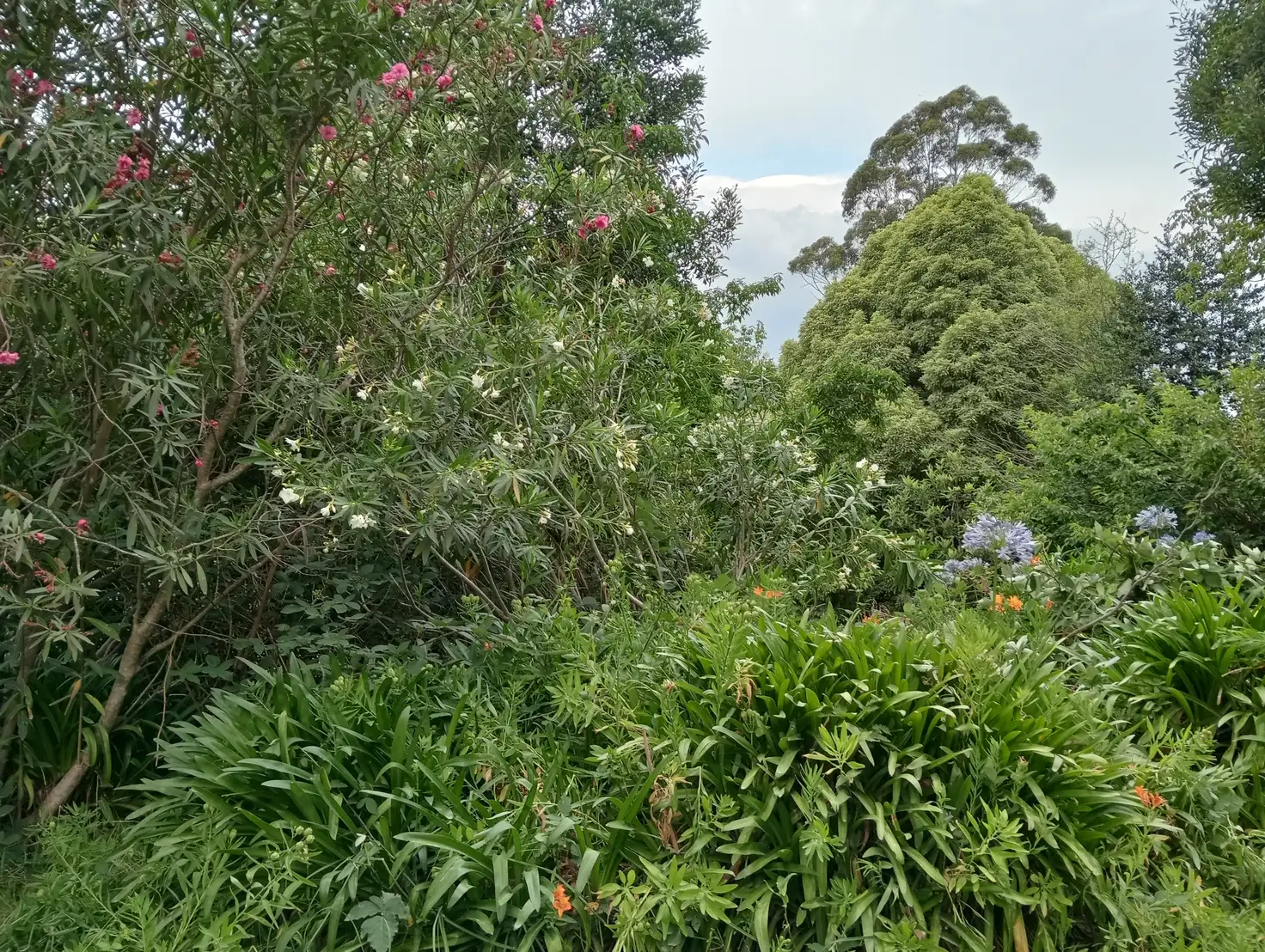 Main view of Homely land listing, 3 Halcyon Ave, The Patch VIC 3792