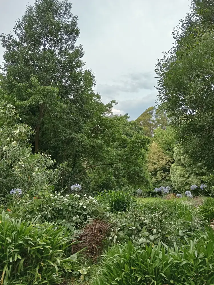 Second view of Homely land listing, 3 Halcyon Ave, The Patch VIC 3792