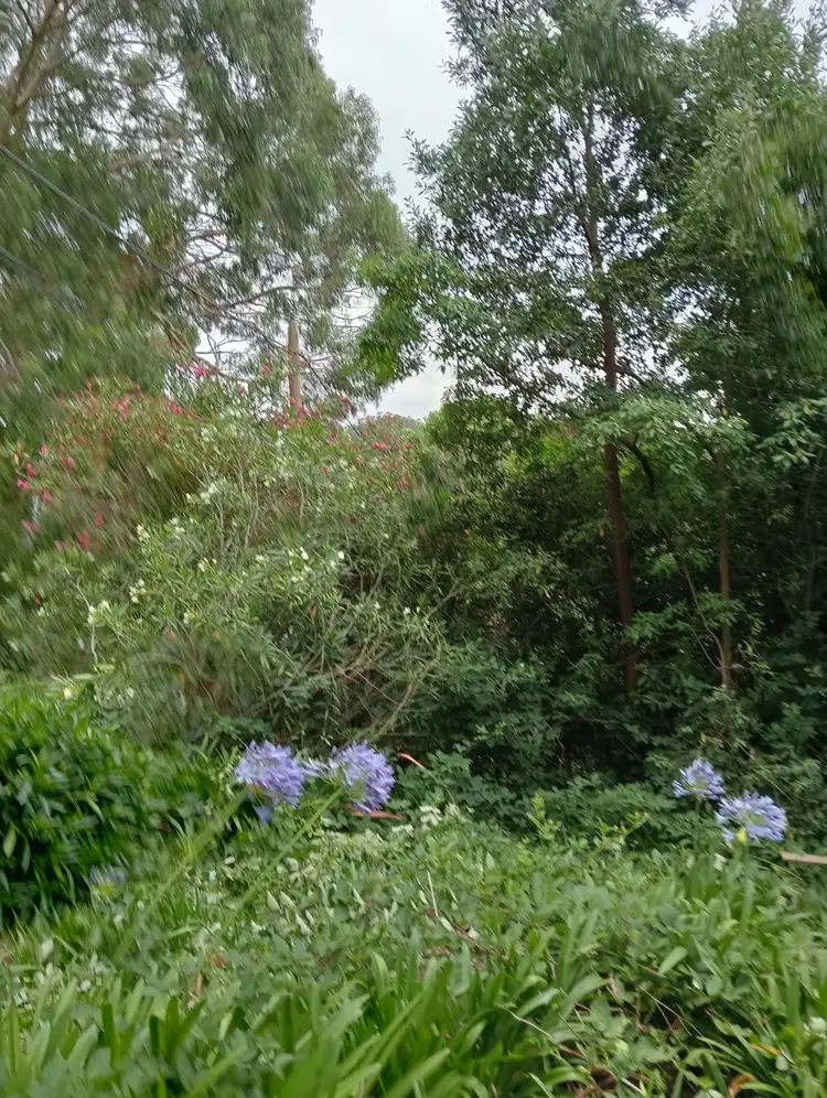Third view of Homely land listing, 3 Halcyon Ave, The Patch VIC 3792