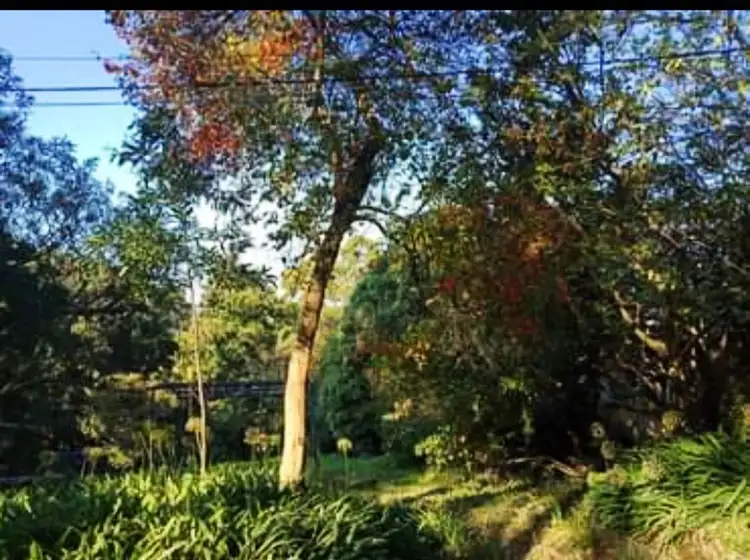 Fifth view of Homely land listing, 3 Halcyon Ave, The Patch VIC 3792