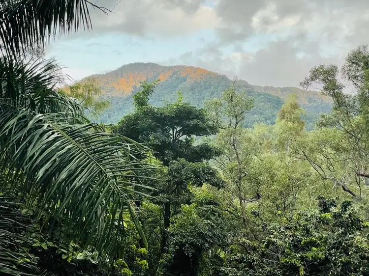 Main view of Homely land listing, 42-44 Woodridge Close, Redlynch QLD 4870