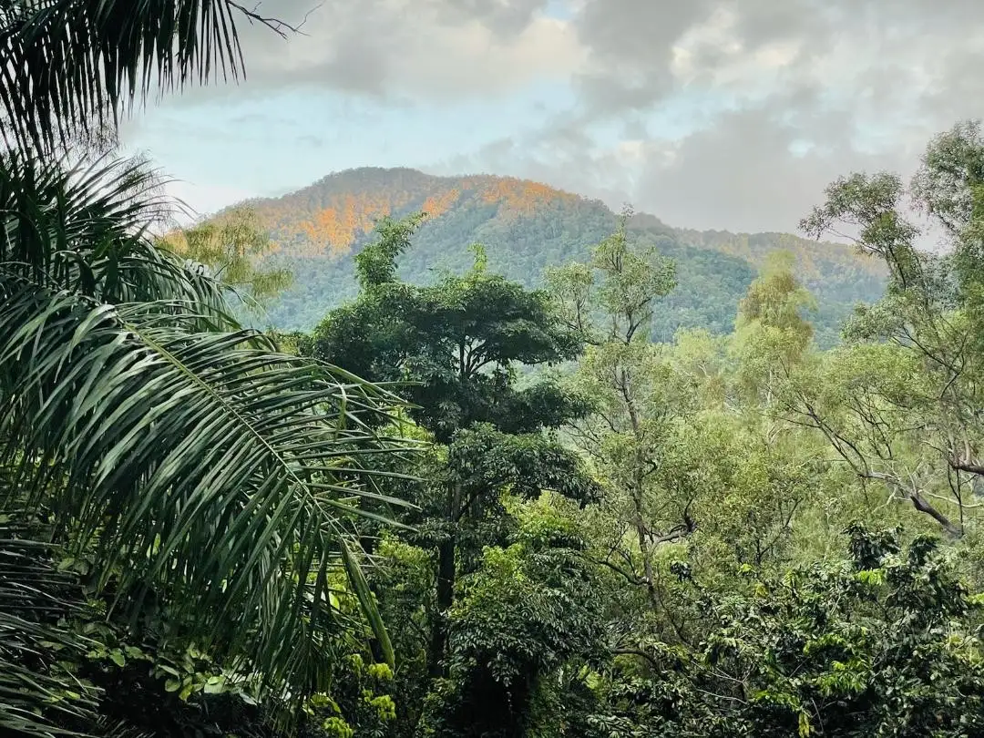 Main view of Homely land listing, 42-44 Woodridge Close, Redlynch QLD 4870