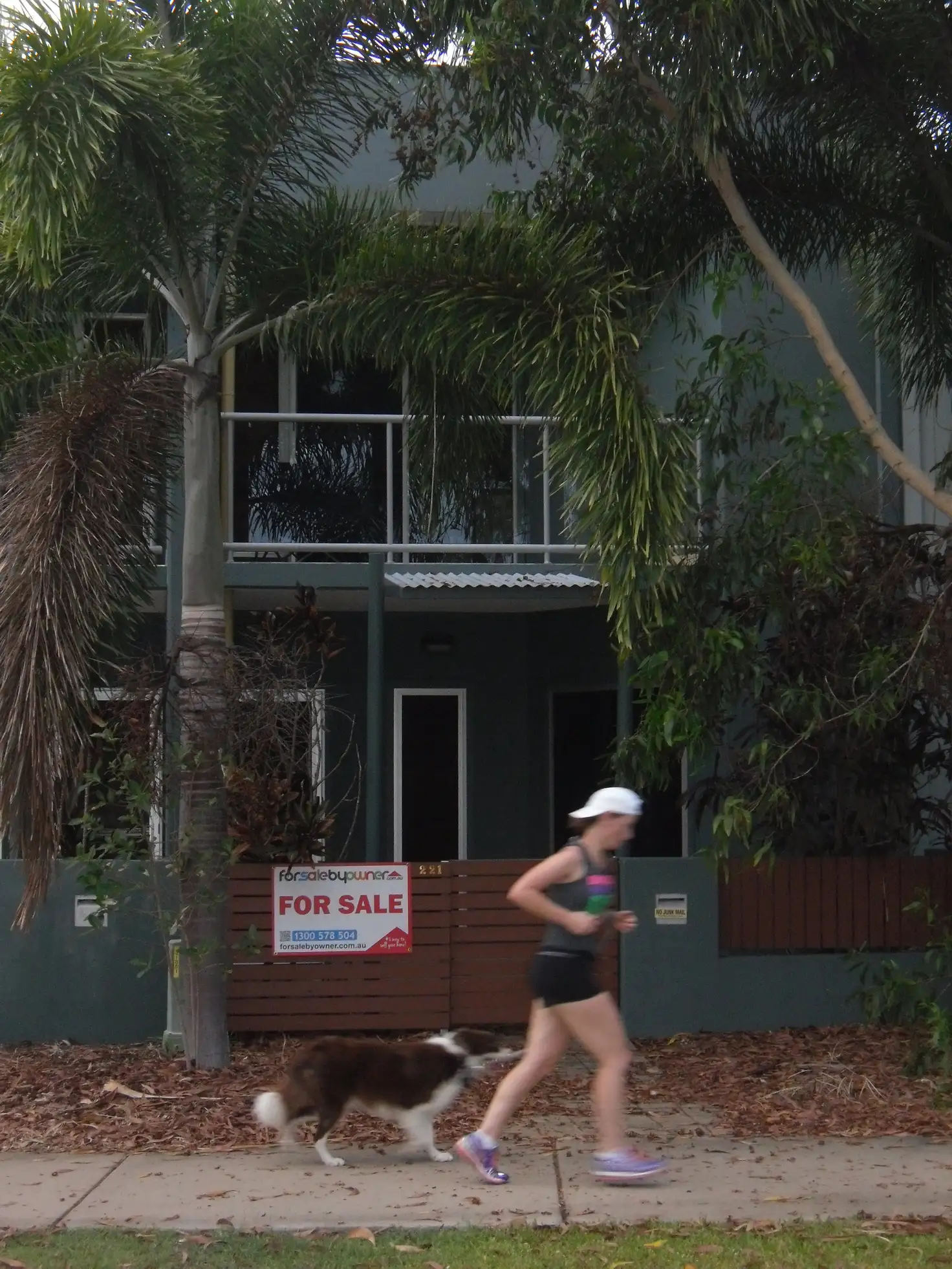Main view of Homely terrace listing, 221 Riverside Boulevard, Douglas QLD 4814