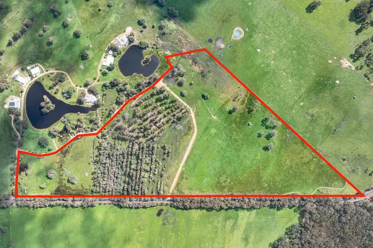Lot 46, 400 Puzey Road, Wilyabrup WA 6280