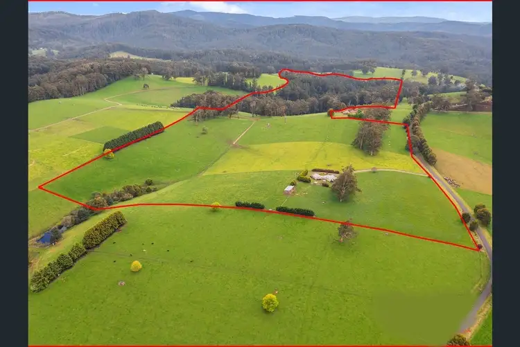 Sixth view of Homely house listing, 107 North Jindivick Road, Jindivick VIC 3818