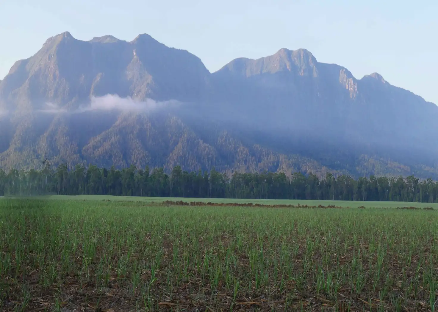 Main view of Homely land listing, Lot 16/RP836956 Ellerbeck Road, Carruchan QLD 4816