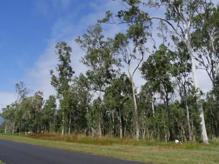 Fourth view of Homely land listing, Lot 16/RP836956 Ellerbeck Road, Carruchan QLD 4816