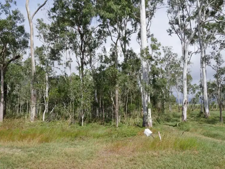 Fifth view of Homely land listing, Lot 16/RP836956 Ellerbeck Road, Carruchan QLD 4816