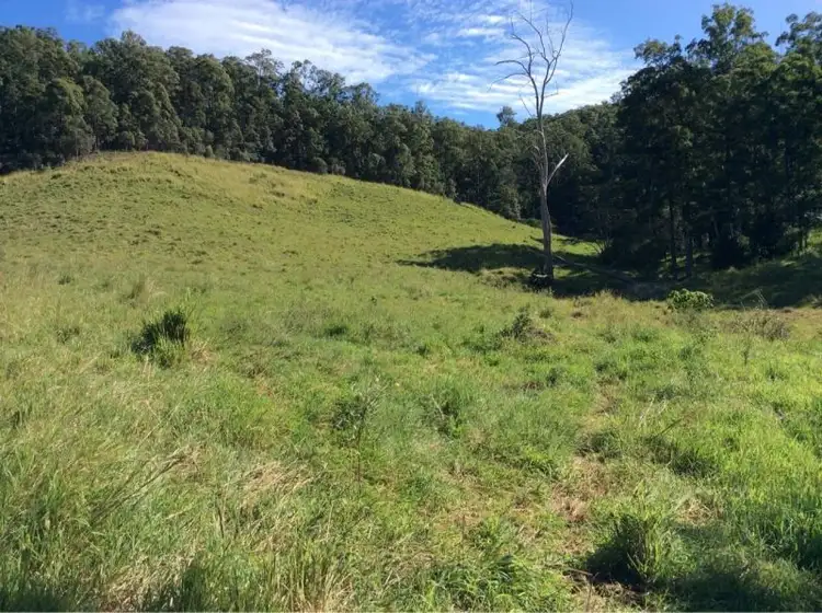 Seventh view of Homely land listing, 1490 Sandy Creek Road, Downsfield QLD 4570