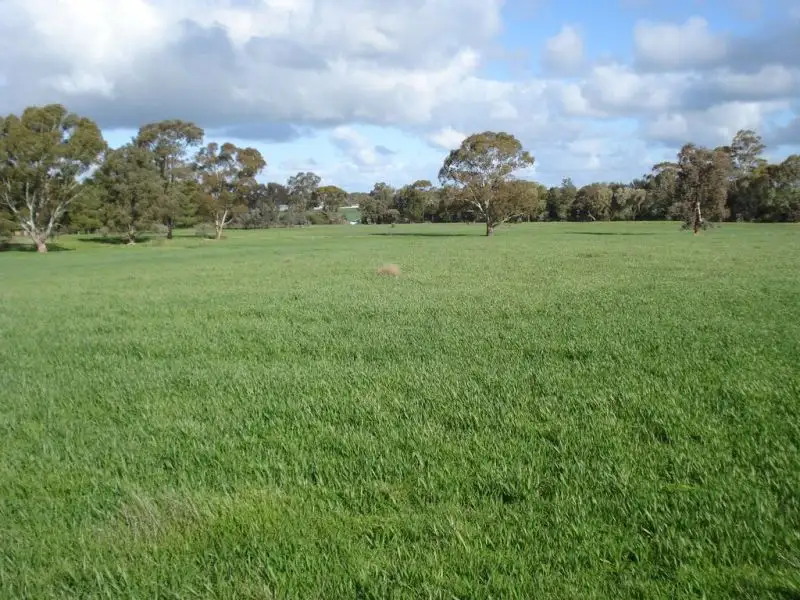 Main view of Homely land listing, Lot 13 Riverton Road, Riverton SA 5412