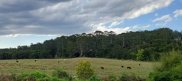 Second view of Homely land listing, 17 Wilson Street, Lowanna NSW 2450