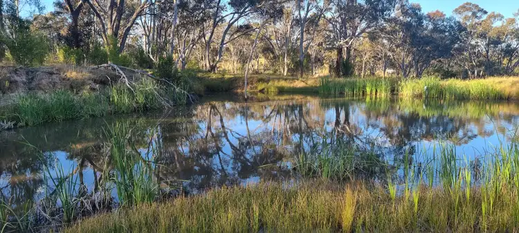 Fourth view of Homely land listing, 55 Panhandle Road, Uralla NSW 2358