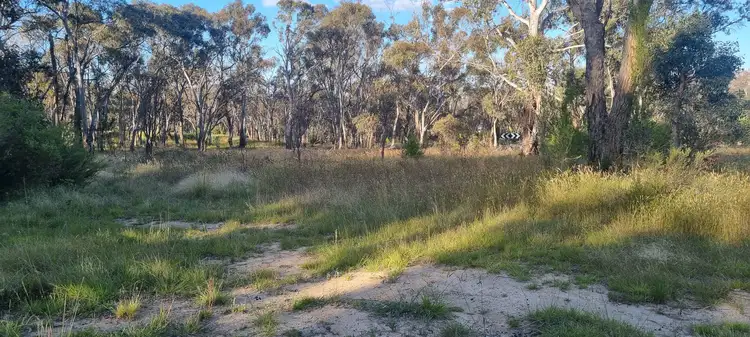 Seventh view of Homely land listing, 55 Panhandle Road, Uralla NSW 2358