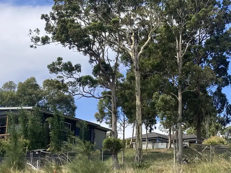 Seventh view of Homely land listing, 13 Timbertop Ave, Forster NSW 2428