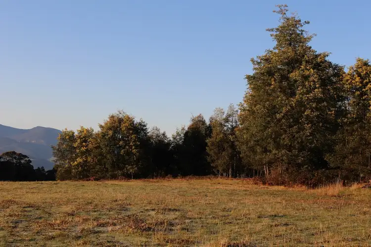 Fourth view of Homely land listing, Lot 1, 2 Grahams Road Grahams Road, Black Hills TAS 7140