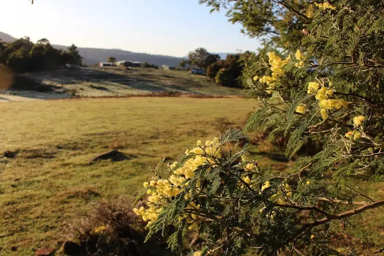 Fifth view of Homely land listing, Lot 1, 2 Grahams Road Grahams Road, Black Hills TAS 7140