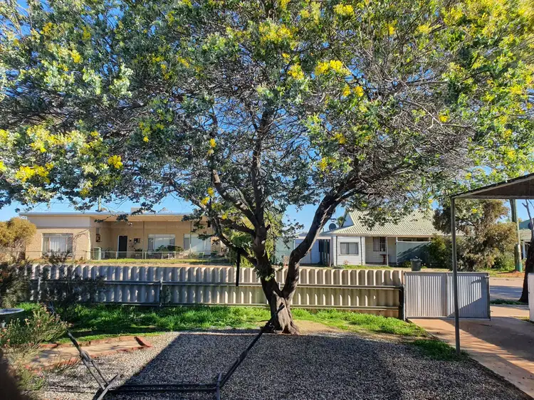 Main view of Homely house listing, 53 Wilson Street, Wyalkatchem WA 6485