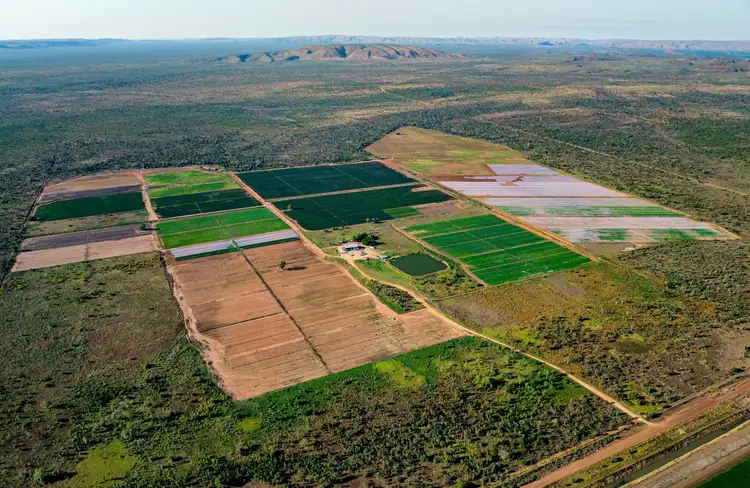 Sixth view of Homely rural property listing, 349 Mulligans Lagoon Rd, Kununurra WA 6743