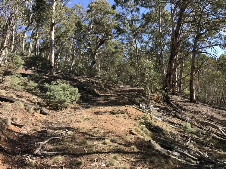 Second view of Homely rural property listing, Lot 1 Bugtown Road, Adaminaby NSW 2629